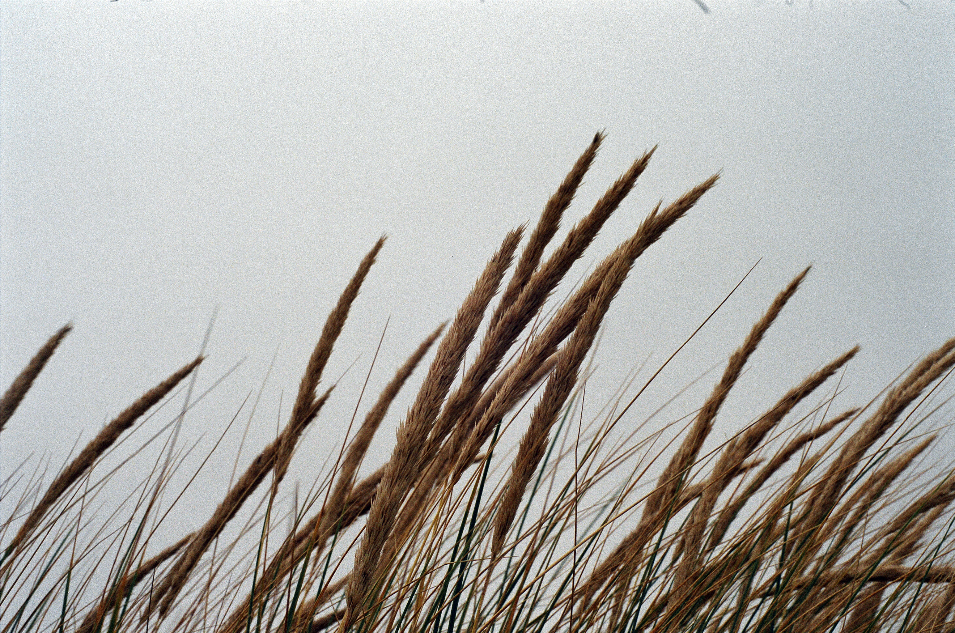 2011_Ouest_SarahBrousseau73310009b